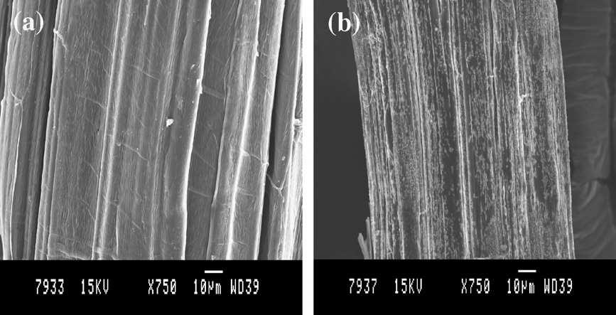 Chapitre III Traitements de surface et méthodes de modification des fibres Figure III-3 Observations au microscope électronique à balayage des fibres de banane après traitement par le NaOH à : (a)