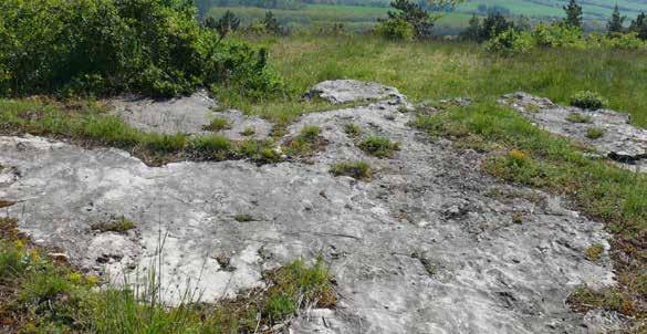 DUNAALMÁSI KŐPITE-TÚRAKÖRÖK Dunaalmási Kőpite Kedves Látogató! Szeretettel köszöntjük a Gerecsében, a Duna Ipoly Nemzeti Park Igazgatóság területén!