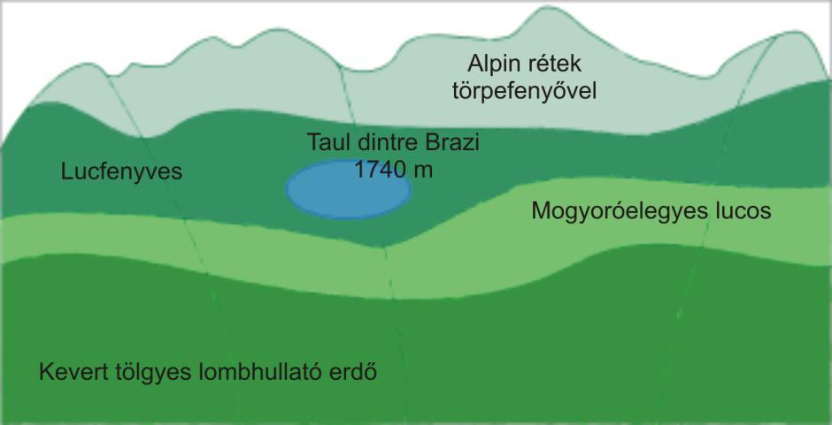 4. Diszkusszió 4.1.