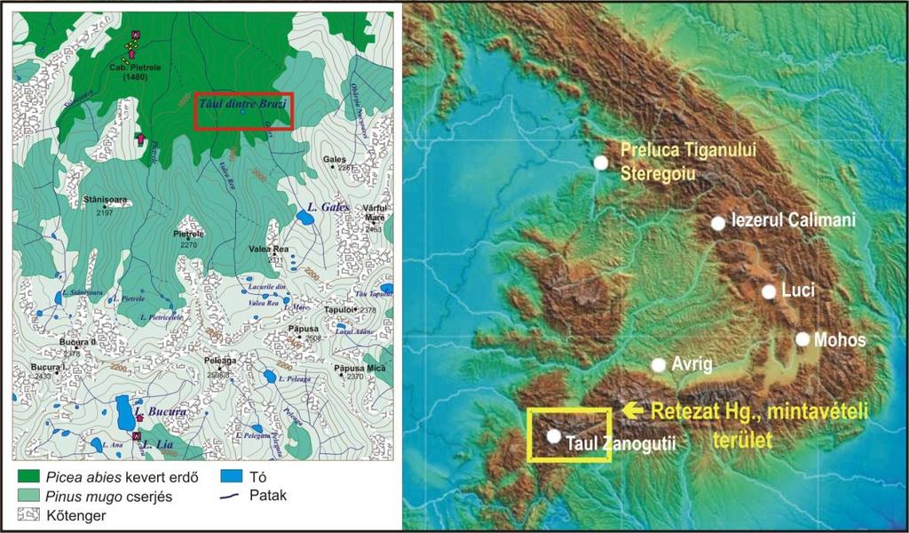 2. Anyag és módszer 2.1. A mintaterület rövid bemutatása A Déli-Kárpátok Retyezát hegységének északi lejtőjén, a Gales-völgy nyugati peremén helyezkedik el a Taul dintre Brazi (Brazi-tó) (4. ábra).