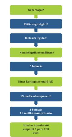 Gyermekek használhatjuk a felnőtteknél tanultakat,a felnőtt szekvencia használata gyermek újraélesztésnél jobb, mintha nem csinálnánk semmit Lélegeztetés!