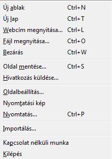 Ebben a menüben az internetezés közbeni oldalak kezeléséhez szükséges menüpontokat találod meg.