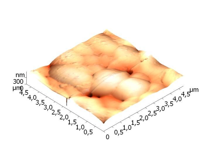 ábra A 30 percig vegyi-nikkelezett AlMg2 minta AFM topográfiás képei a porozitásáról 6.4.