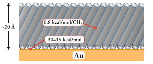 Önszerveződő monorétegek, Self-Assembled Monolayers (SAM)