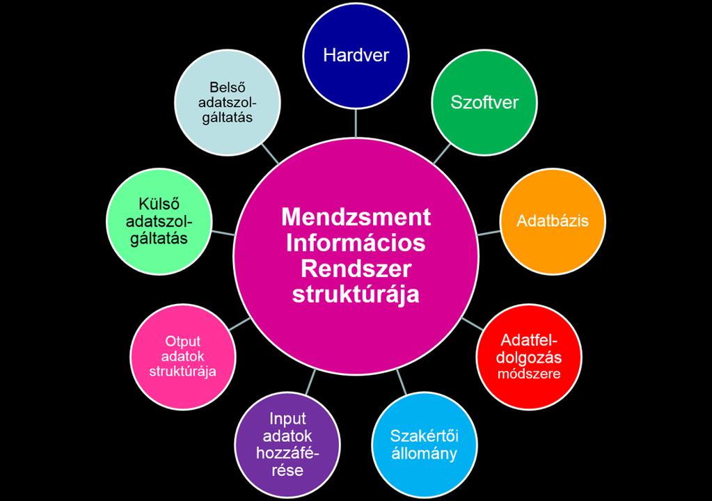 A vezetői információs rendszer (MIS) általában