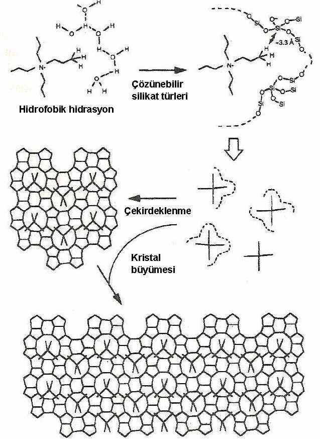 Şekil 2.3: Silikalit 1 Sentezinde TPA + Katyonunun Yapı Yönlendirme Rolü (Burkett ve Davis, 1995). Dokter v.ç.a. (1995) tarafından WAXS ile gerçekleştirilen çalışmanın sonuçlarına göre sistemlerde kristalizasyon öncesi sulu TPA-silikat kümelerinin agregasyonu gerçekleşmiştir.