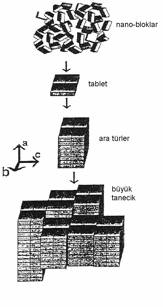 Şekil 2.9: Leuven Grubunun Önerisine Göre Nano Plakaların Agregasyonu ile Silikalit 1 Kristallerinin Oluşumu (Kirschhock v.ç.a., 1999c) Schoeman ın (1998) hesaplamaları ise enerji bariyerinin her zaman itme şeklinde olduğunu ve artan kristal boyutu ile de arttığını öngörmüştür.
