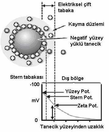 - Şekil 3.2: Negatif Yüklü Tanecik ve Etrafında Oluşan Elektriksel Çift Tabaka Zeta potansiyelinin değeri aynı zamanda kolloidal çözeltinin stabilitesi hakkında bilgi verir.