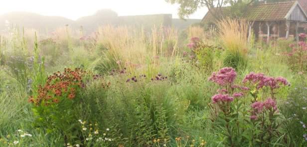 KEYNOTE SPEAKERS Internationally renowned writer, lecturer and planting design consultant, Dr Noel Kingsbury is an authority on naturalistic and ecological approaches to planting design.