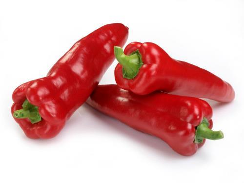 Kápia típusú paprika (Capsicum annuum L. var. grossum) A kápia típusú étkezési paprika a Földközi-tenger partvidékéről a mediterráneumból, valamint a Balkánról származik.