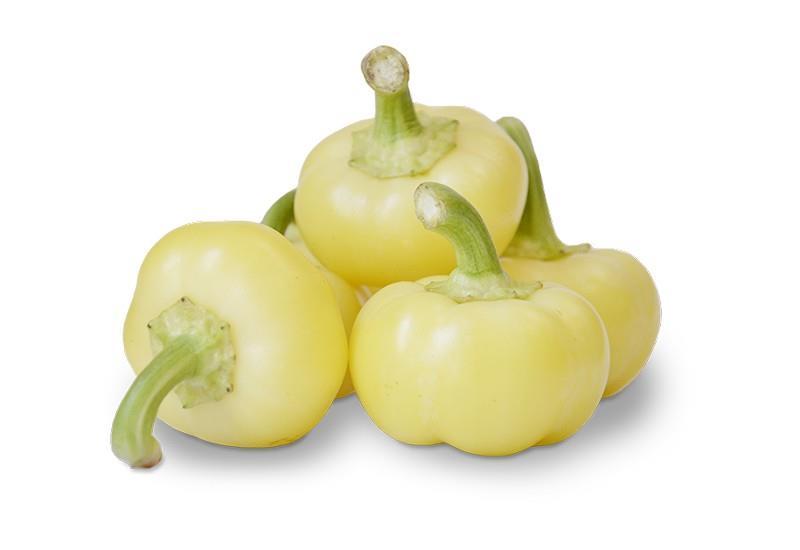 Almapaprika (Capsicum annuum L. var. grossum) Az almapaprika alakkör a bolgárkertészet hazai megjelenésével egyidőben - a XX. század elejétől - vált népszerűvé hazánkban.