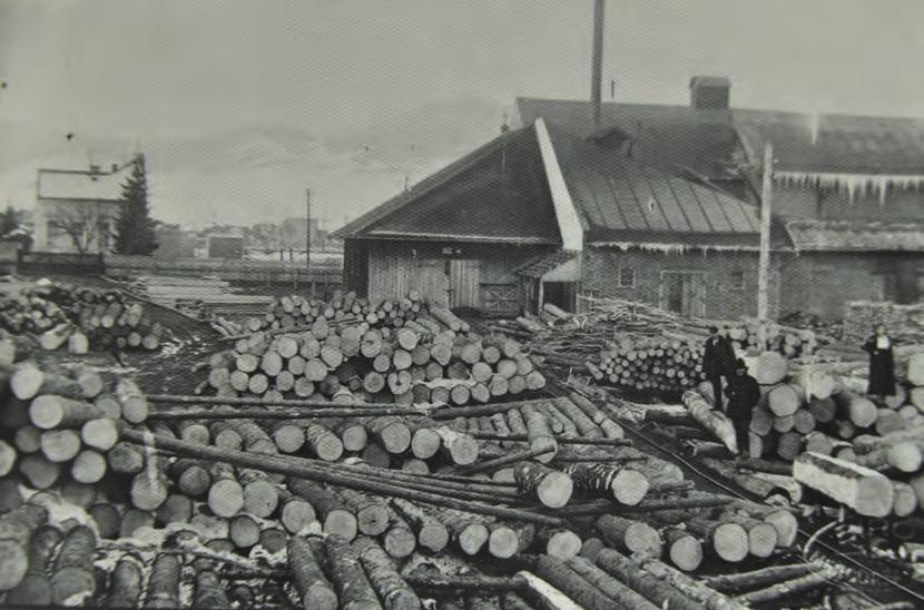 Enikő: Az 1850-ben kinevezett kataszteri főmérnökök Závoczki