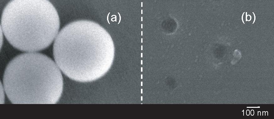 198 JOURNAL DE PHYSIQUE IV Figure 9. Vitesse d expansion de la surface du substrat de silicium en fonction du temps.