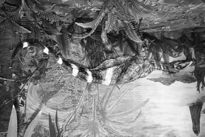 12 XXXVII. Miskolci Nemzetközi Ásványfesztivál losaurus a megtalált nyomok hátrahagyása során 6 14 km/h-val mozoghatott, szóval futva könnyen utolértük volna őket.