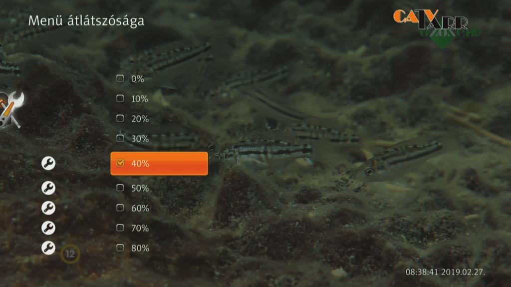 ) Másodlagos felirat nyelv f.) Hallássérült felirat 3. Válasszon ki egy nyelvet mindegyik nyelvi beállításhoz a Navigációs ( / ) gombokkal, majd nyomja meg az OK gombot.