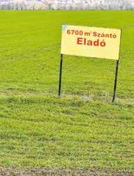 NAKlap 2019. március 17 Földforgalmi kérdezz-felelek Változott a termőföld-adásvétel kontrolljának folyamata? 2019. január 11-től a helyi földbizottság a köztudomású tények, a legjobb ismeretei alapján és az érintettekről beszerzett információk együttes mérlegelésével értékeli a szerződést.