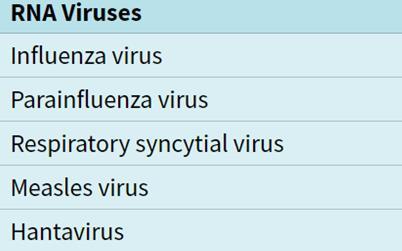 Vírus infekciók Egészséges egyénben Primer légúti infekció Respiratory