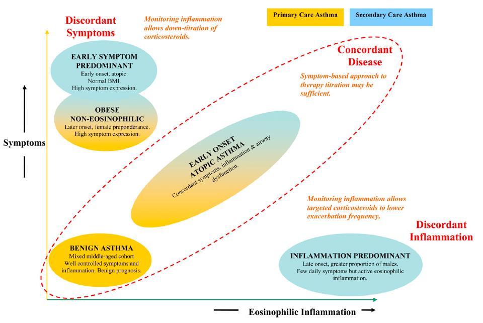 ICS/RABA tünetoldásra RABA: Rapid-Acting Beta2-Agonist (SABA or