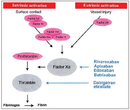 4 Magyarországon 4 NOAC gyógyszer elérhető: rivaroxaban (Xarelto ), apixaban (Eliquis ), edoxaban (Lixiana ), dabigatran (Pradaxa ).