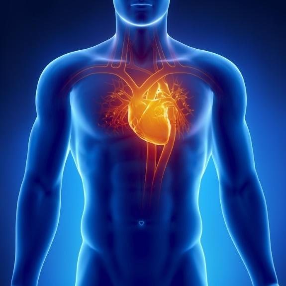 Tudományos bizonyítékok Az orvos-beteg kapcsolatnak nagyobb hatása van az 5 éves időtávban mért kardiovaszkuláris események kockázatára, mint a dohányzás abbahagyása, az Aspirin szedés vagy statinok