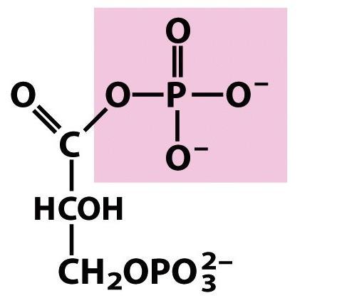Arzénmérgezés gliceraldehid-3- foszfát szervetlen foszfát gliceraldehid- 3-foszfát dehidrogenáz