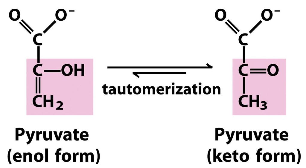 tautomerizáció piruvát (enol