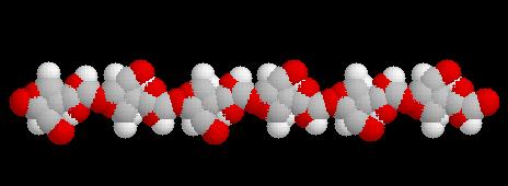 Cellulóz* (β-1,4-kötések) Keményítő és