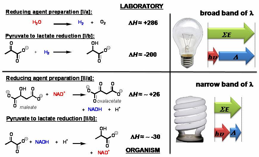 edox reaction in