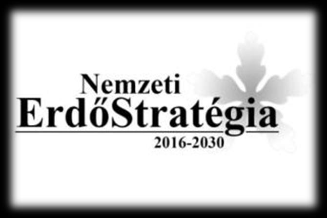 konkrét problémákkal kapcsolatban megoldási lehetőségeket vázol fel.