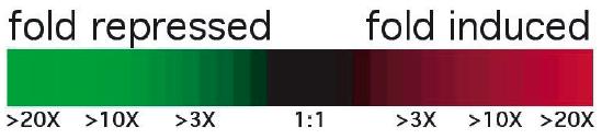 Ratios of experimental to control expression