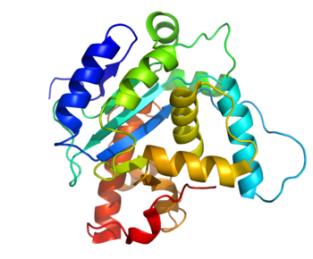 Protein Expression!