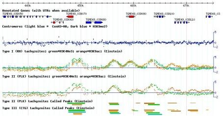 Genomics!