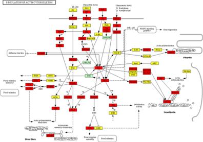 Pathways! Isolates!