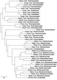 Genome and