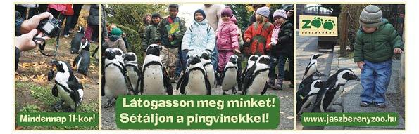 6 www.hetikciosujsg.hu HA AKCIÓ, AKKOR CSAK IS A AKCIÓS! 7 Grntáltn legjobb árk, MŰANYAGNYÍLÁSZÁRÓK legjobb www.wintec-smu.hu E-mil: wintec@wintec-smu.hu minőség!