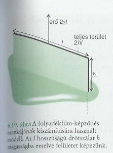 A FELÜLEI FEZÜLÉG A felület megnöveléshez szükséges munka: d w felületi d ( felületi feszültség ellenében (vagy által) d a felület nagyságának változása).