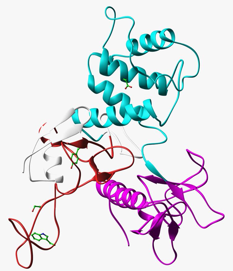 Bioinformatics: Blending Biology and Computer Science MDNMSITNTPTSNDACLSIVHSLMCHRQ GGESETFAKRAIESLVKKLKEKKDELDSL ITAITTNGAHPSKCVTIQRTLDGRLQVAG RKGFPHVIYARLWRWPDLHKNELKHVK YCQYAFDLKCDSVCVNPYHYERVVSPGI