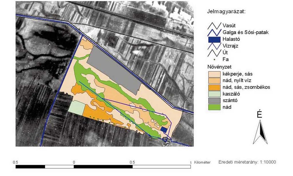 416 VONA et al. 1.