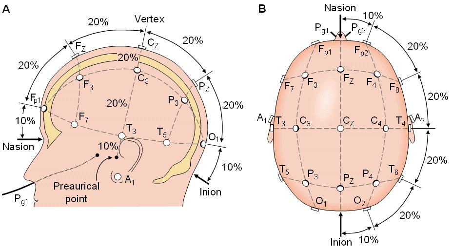 4.2. ábra. A nemzetközi 10-20-as rendszernek megfelelő mérő elektród elrendezés. (A) a fej bal oldalnézete és (B) felülnézete.