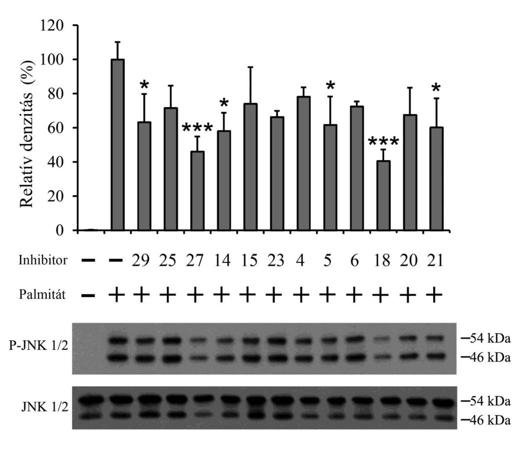 14. ábra: Lipotoxicitás által indukált JNK-foszforiláció gátlása RINm5F sejtekben Patkány inzulinóma sejteket kezeltünk 70-80%-os konfluencia mellett albumin-konjugált palmitáttal (500 M) önmagában,