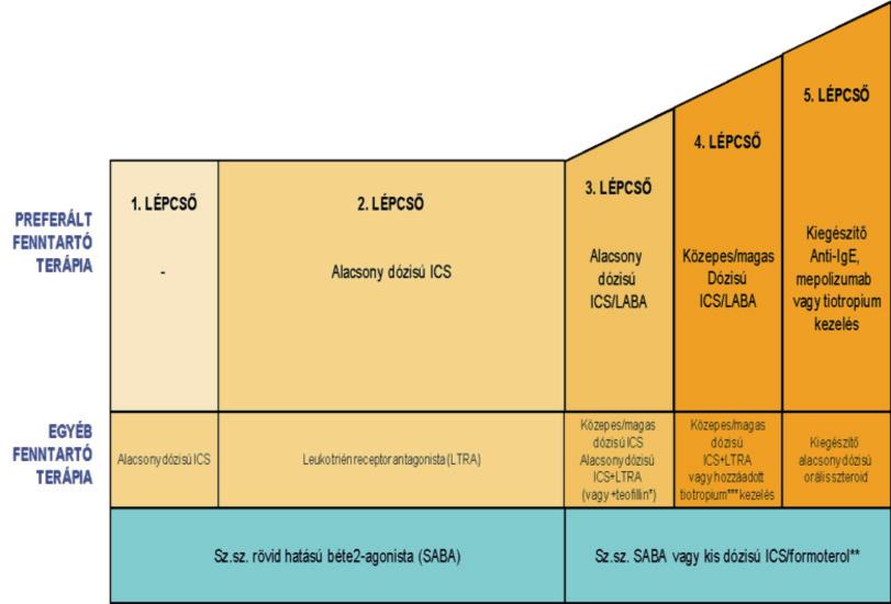 132 GYÓGYSZERÉSZET 2019. március 1. ábra: Az asztma fenntartó kezelésének algoritmusa [1].