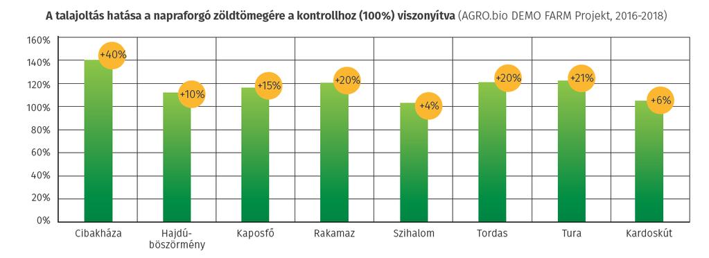 BactoFil Napraforgó Gyors