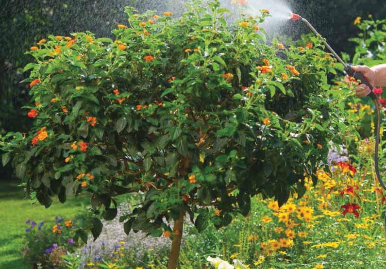 GARDENA permetező készülékek Növényápoláshoz; párásítás, tápoldatozás, növényvédelem A pumpás és nyomáspermetezők hasznos segítőtársak párásításkor, tápoldatozáskor és a növényvédő szerek