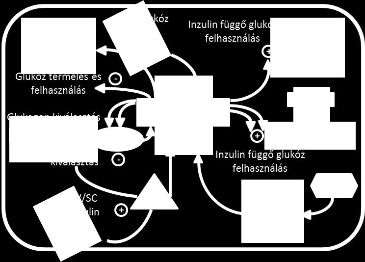 A teljes modell a glukóz, inzulin és glukagon rész-modellekből épül fel.