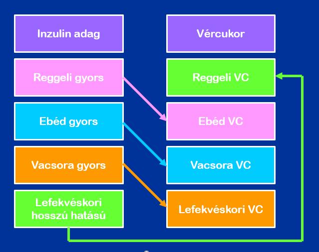 22. ábra. A különböző inzulinok hatása a vércukor értékekre a bazal-bólus kezelési sémában (VC=vércukor). A korrekciós inzulinadagok megharozását definiáló ismereteket szabály alakban fogalmaztam meg.