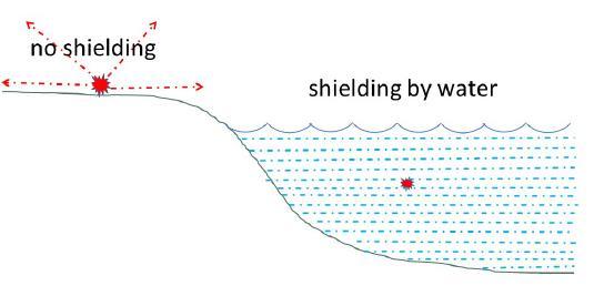 Too much fear for radioactive contamination in seawater J.