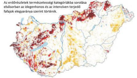 tájékoztató Magyarország erdőállományának főbb