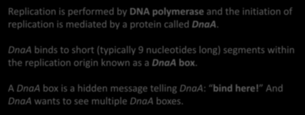Does the Frequent Words Problem Make Sense to Biologists? Frequent Words Problem. Finding most frequent k-mers in a string. Input. A string Text and an integer k. Output.