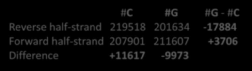 The Peculiar Statistics of #G - #C Cytosine (C) rapidly mutates into thymine (T) through deamination; deamination rates rise 100-fold when DNA is single stranded!