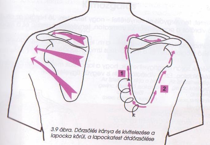 2. Dörzsölések : Vasaló, Gyalu, Fűrész, Hernyó, Tenyérgyökös körkörös, 3-4 ujjas körkörös, Hüvelykujjal körkörös, Lapockatest körbedörzsölése kétszer,